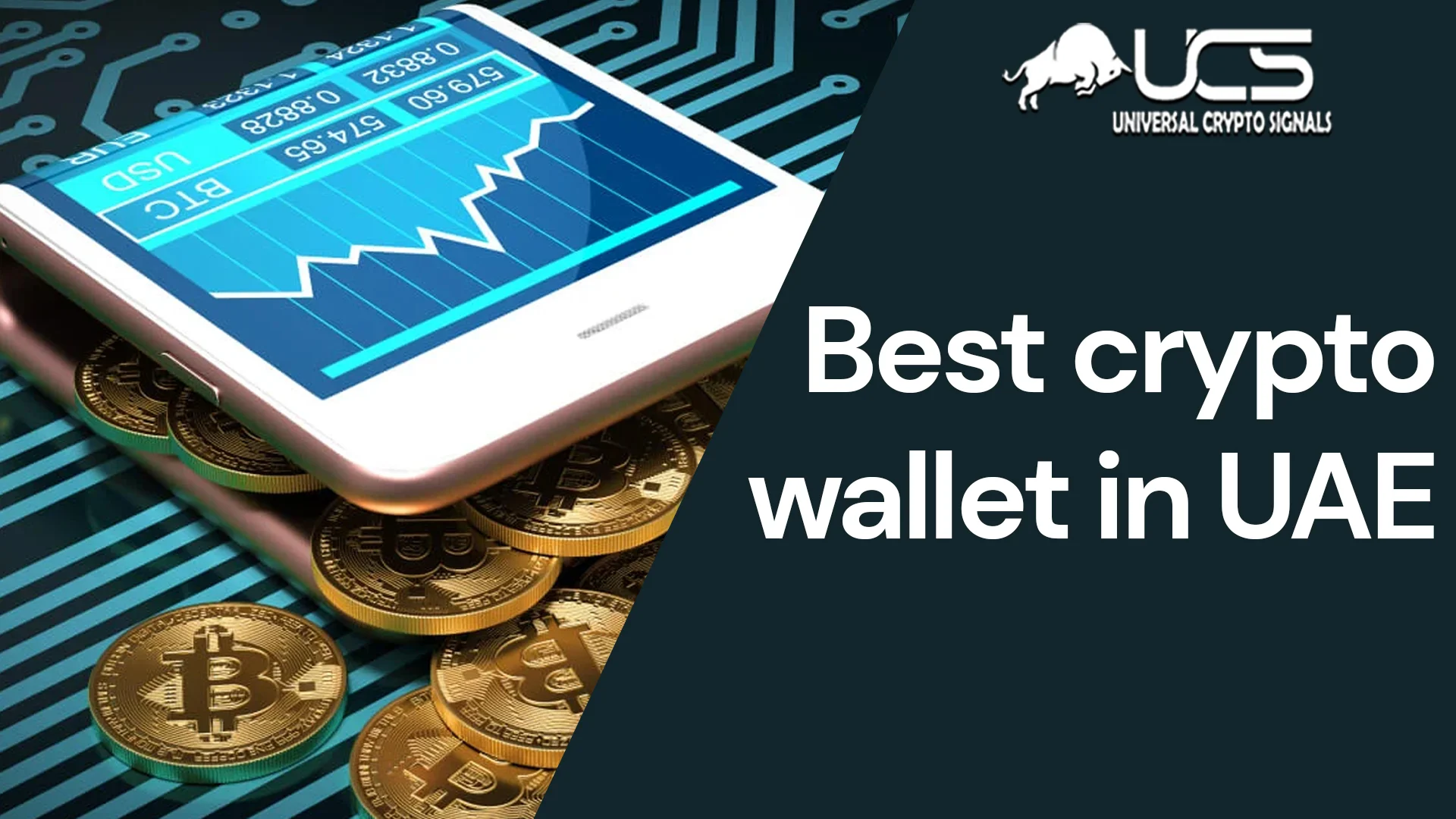 best-crypto-wallet-in-uae-find-your-perfect-fit-wallet-with-ucs